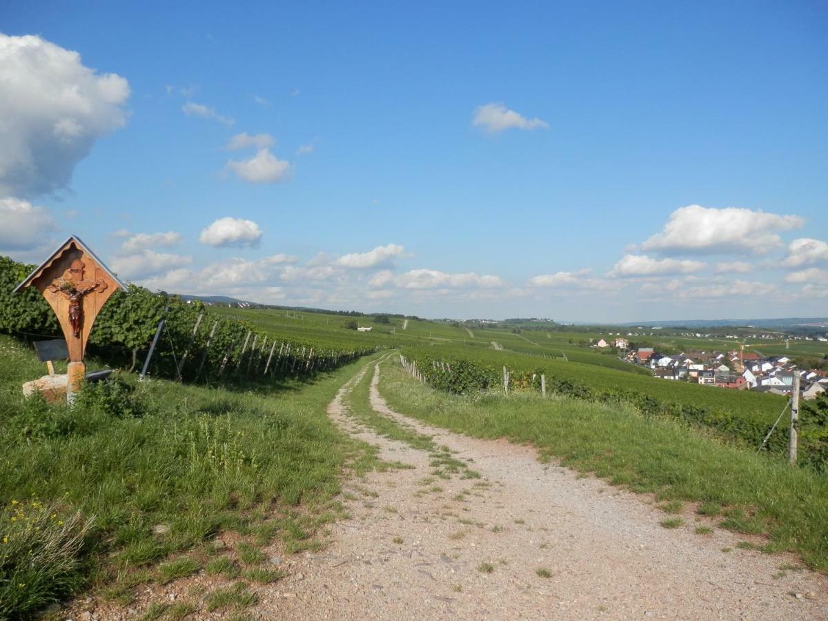 Rheingauer Fewo Am Schulhaus Geisenheim Zewnętrze zdjęcie